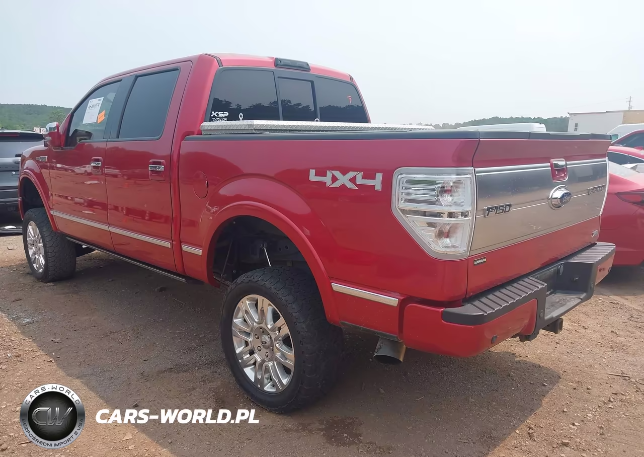 2010 Ford F-150 Fx4-Harley-Davidson-King Ranch-Lariat-Platinum-Xl-Xlt VIN:1FTFW1EV3AFD50868 - 3