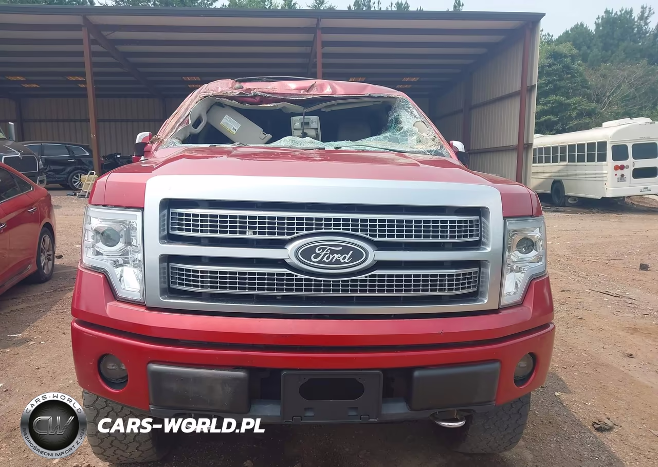 2010 Ford F-150 Fx4-Harley-Davidson-King Ranch-Lariat-Platinum-Xl-Xlt VIN:1FTFW1EV3AFD50868 - 6