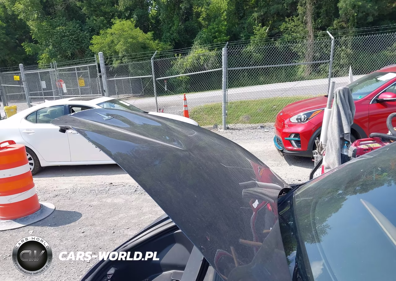 2020 Tesla Model 3 Long Range Dual Motor All-Wheel Drive VIN:5YJ3E1EB6LF735019 - 10