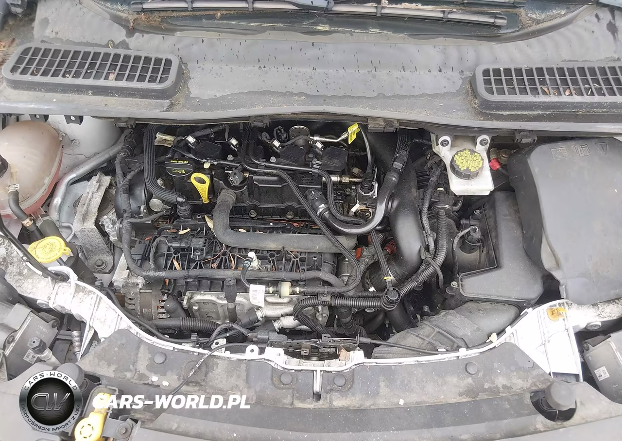 2017 Ford Escape Se VIN:1FMCU0GD4HUC85781 - 10
