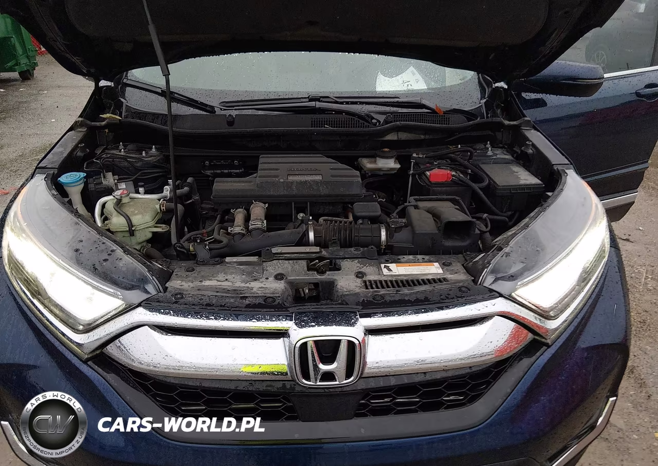 2017 Honda Cr-V Touring VIN:2HKRW2H9XHH636332 - 10