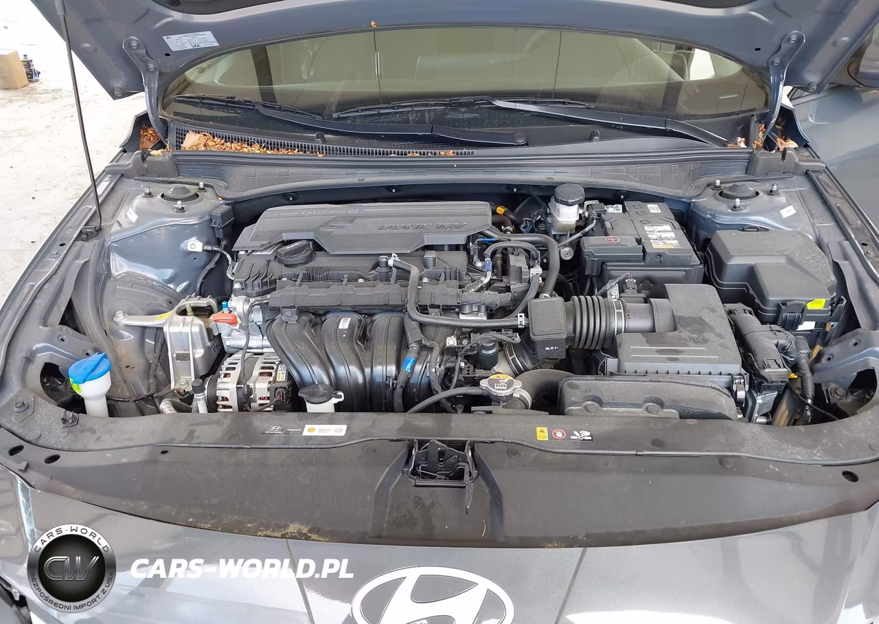 2024 Hyundai Elantra Sel VIN:KMHLM4DG0RU834870 - 10