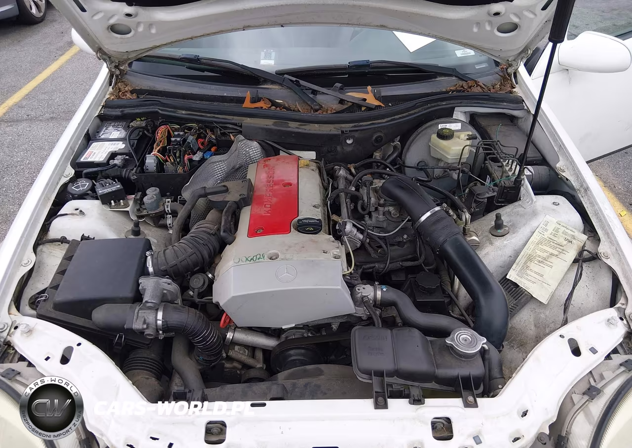 1998 Mercedes-Benz Slk 230 VIN:WDBKK47F2WF065604 - 10