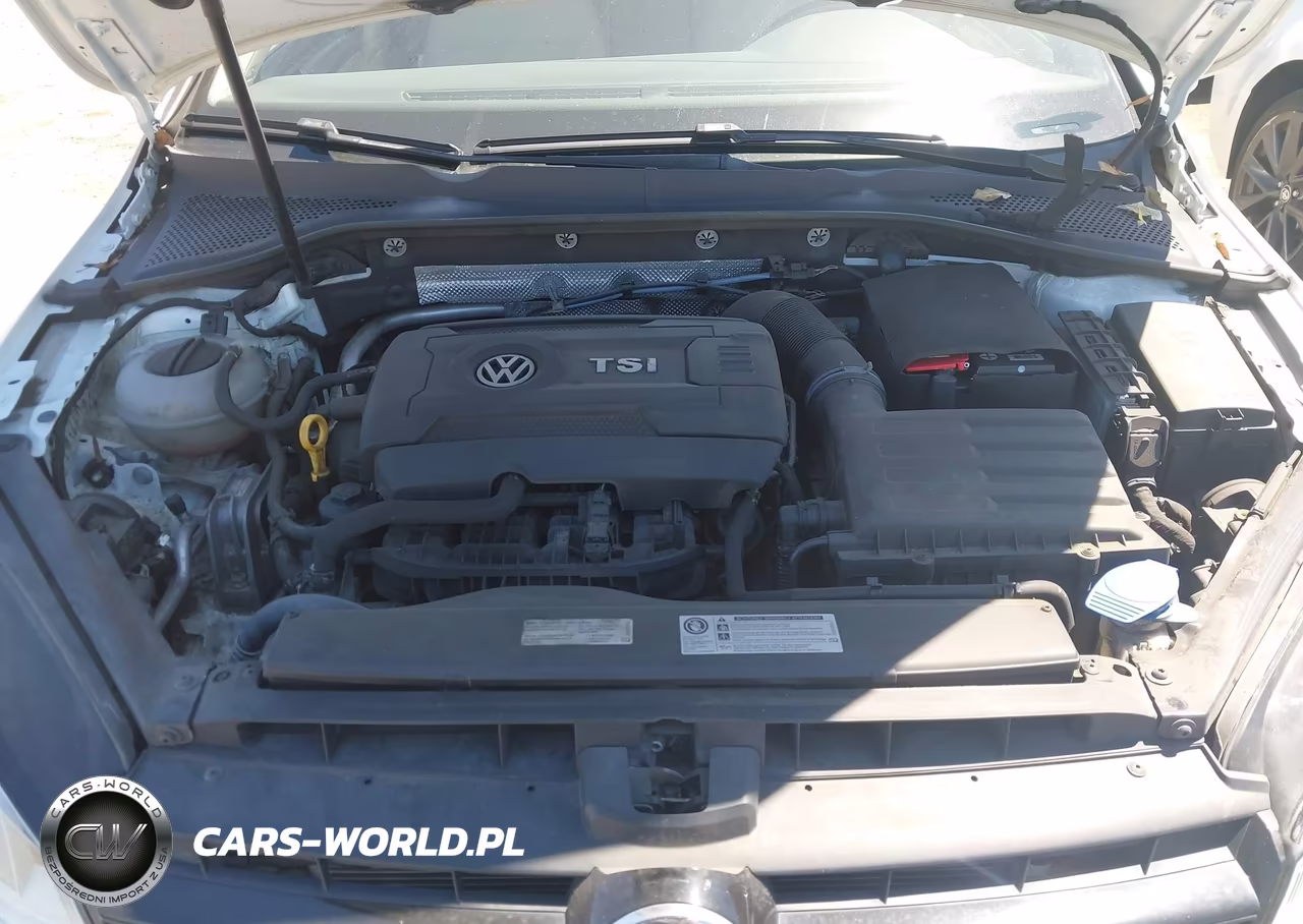 2017 Volkswagen Golf Tsi S 4-Door-Tsi Se 4-Door-Tsi Sel 4-Door-Tsi Wolfsburg Edition 4-Door VIN:3VW217AU6HM038838 - 10