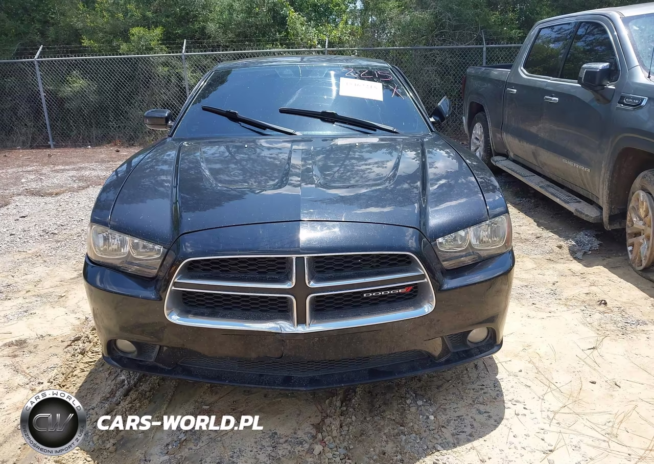2014 Dodge Charger Sxt VIN:2C3CDXHG9EH149946 - 12