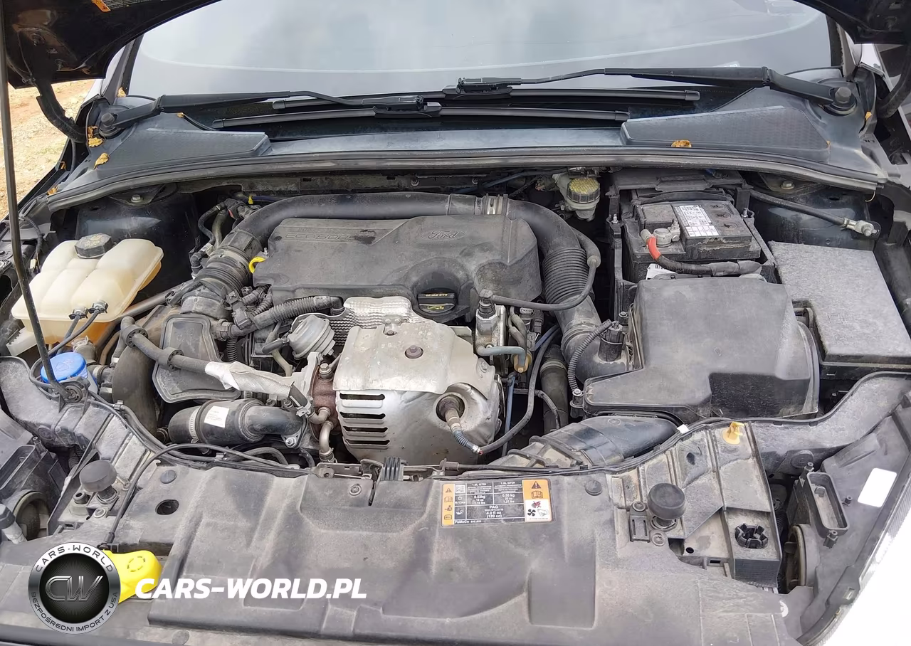 2015 Ford Focus Se VIN:1FADP3FE2FL348266 - 10