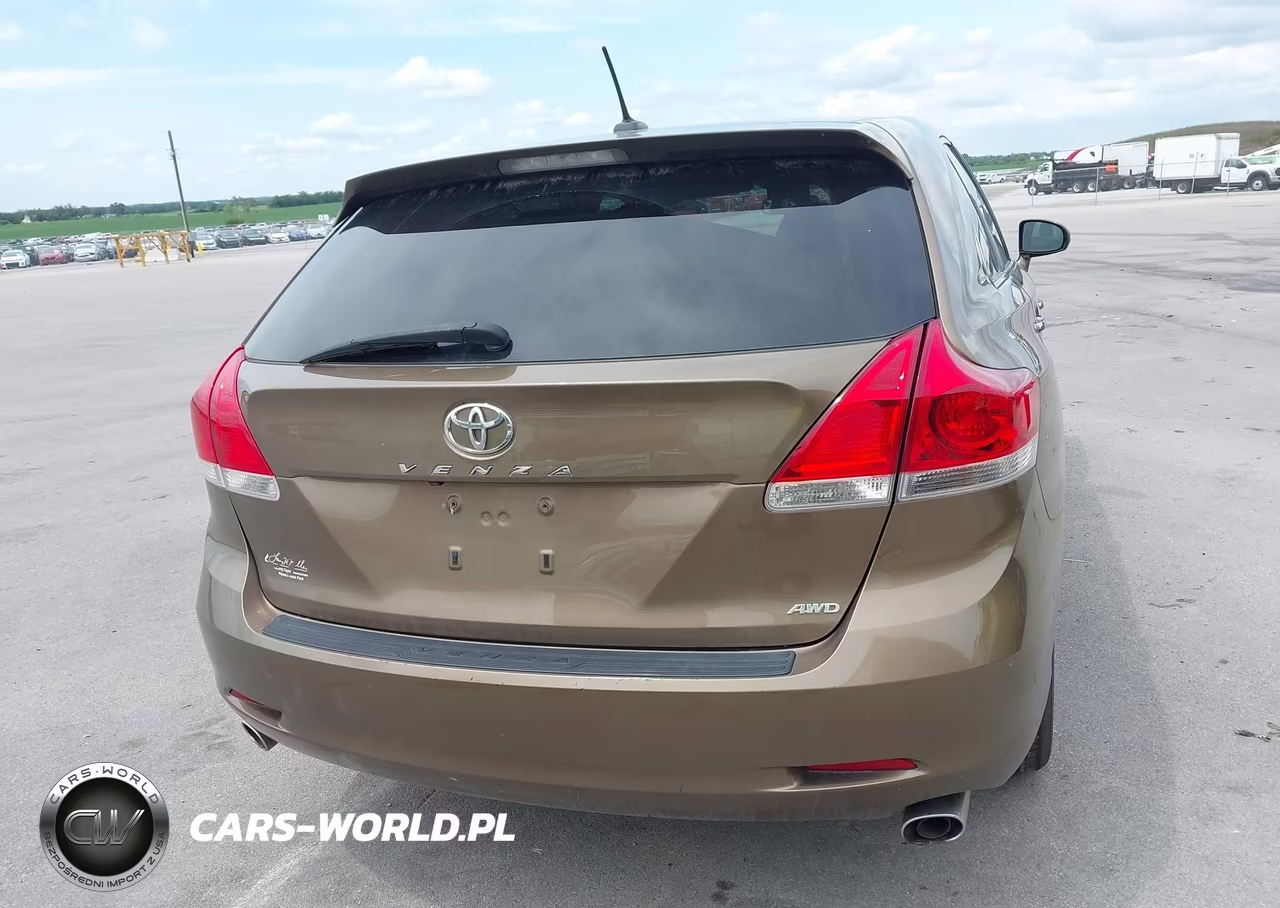 2010 Toyota Venza Base V6 VIN:4T3BK3BBXAU036195 - 17