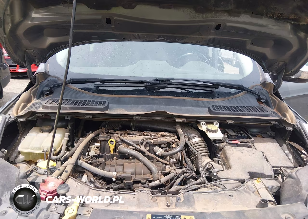 FORD ESCAPE SE VIN:1FMCU0GX4EUC20631 - 10