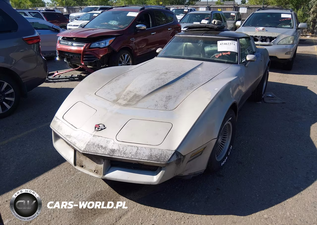 1982 Chevrolet Corvette VIN:1G1AY0789C5102731 - 12