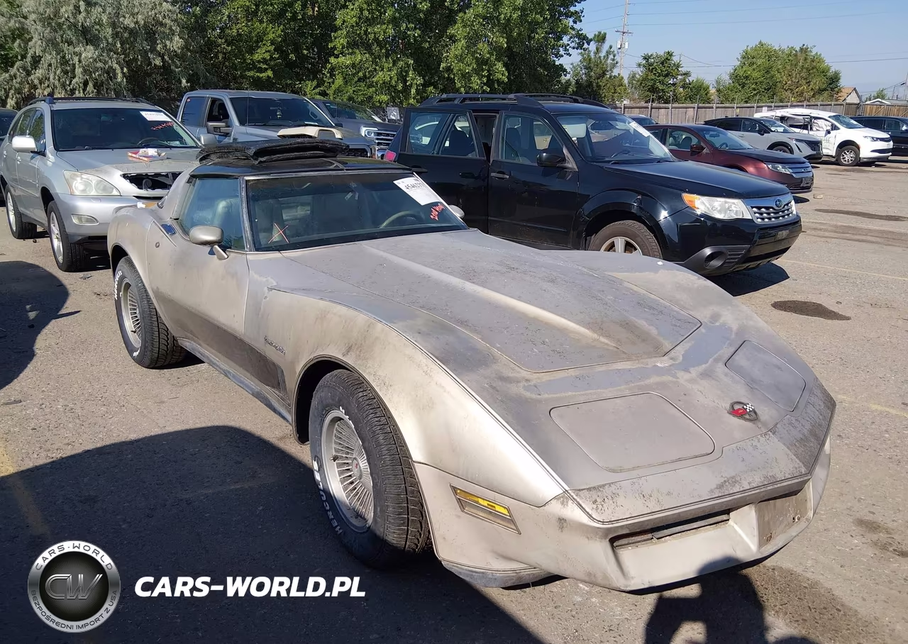 1982 Chevrolet Corvette VIN:1G1AY0789C5102731 - 13