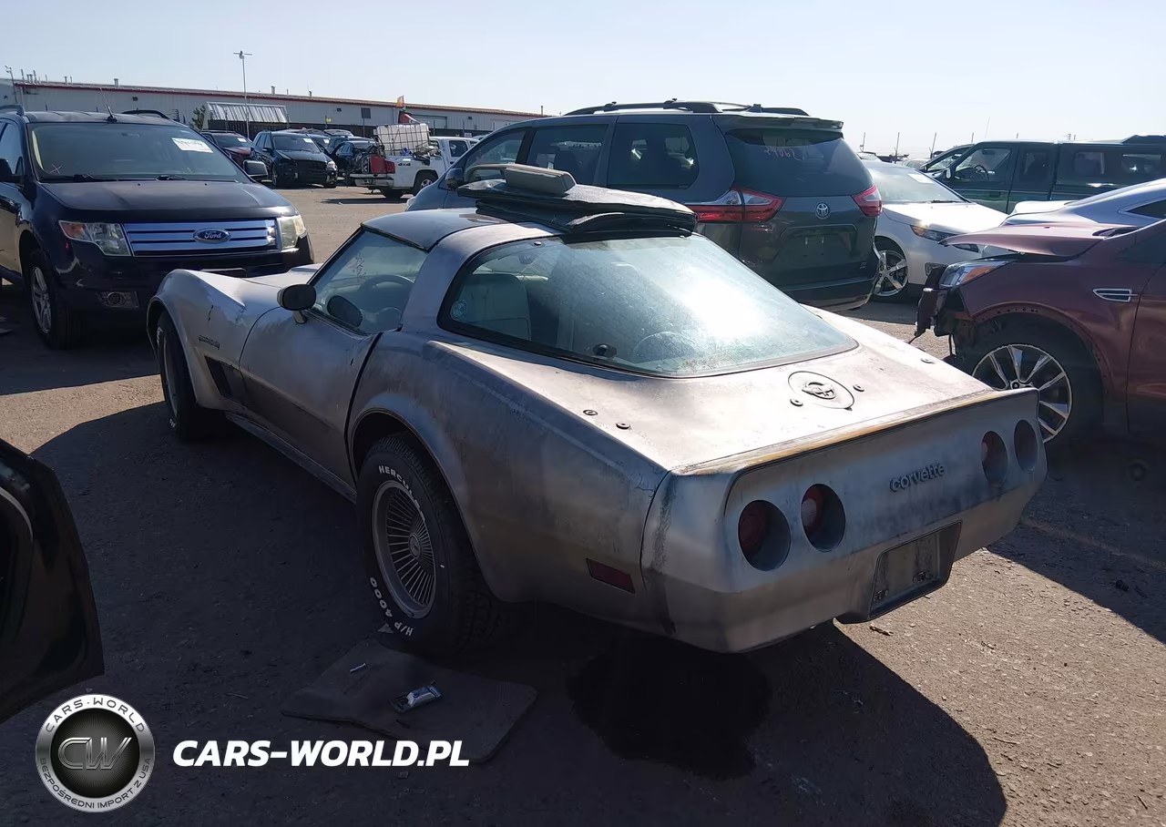 1982 Chevrolet Corvette VIN:1G1AY0789C5102731 - 14