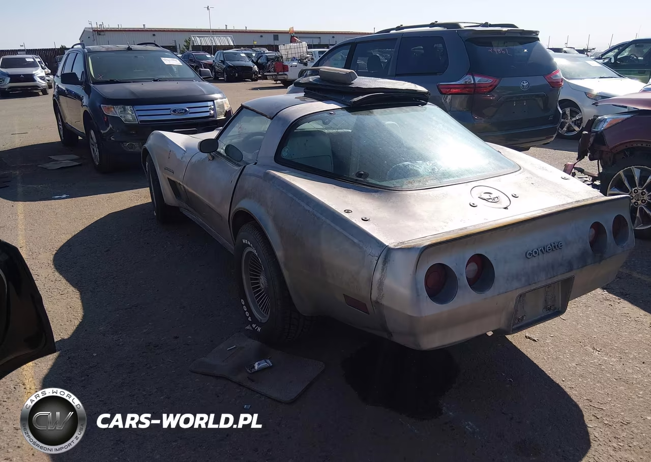 1982 Chevrolet Corvette VIN:1G1AY0789C5102731 - 3