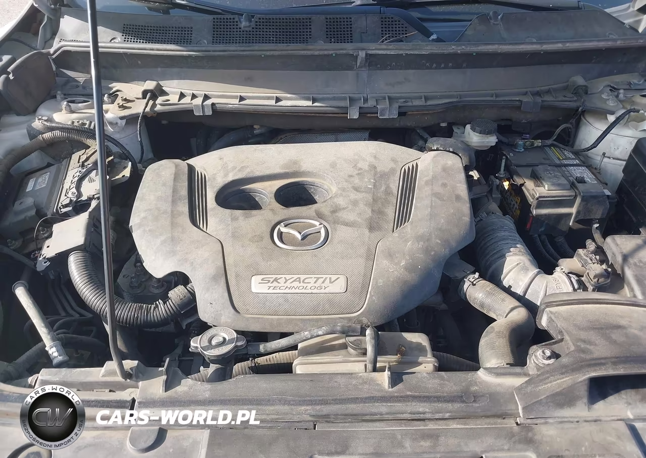 2017 Mazda Cx-9 Signature VIN:JM3TCBEY3H0137001 - 10
