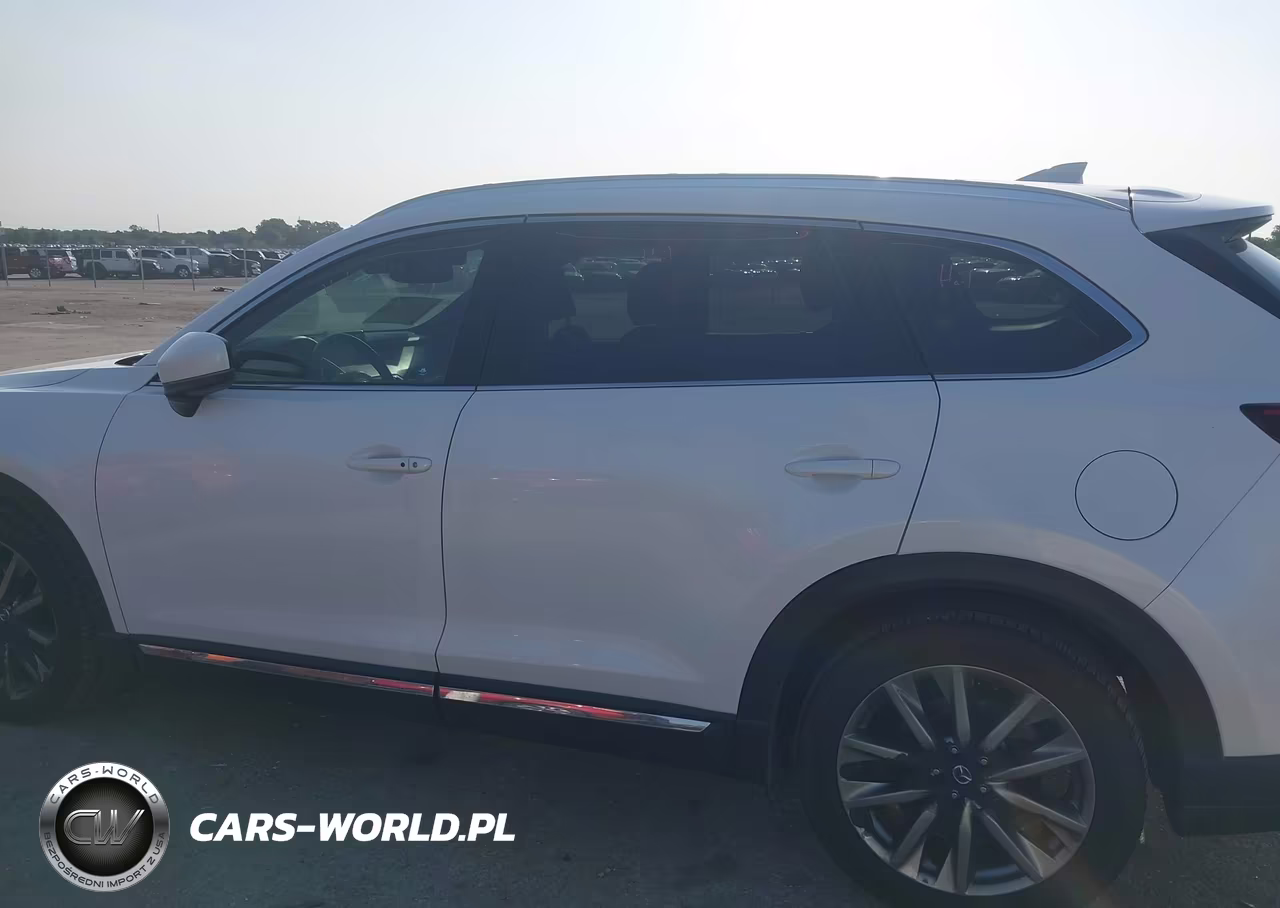 2017 Mazda Cx-9 Signature VIN:JM3TCBEY3H0137001 - 14