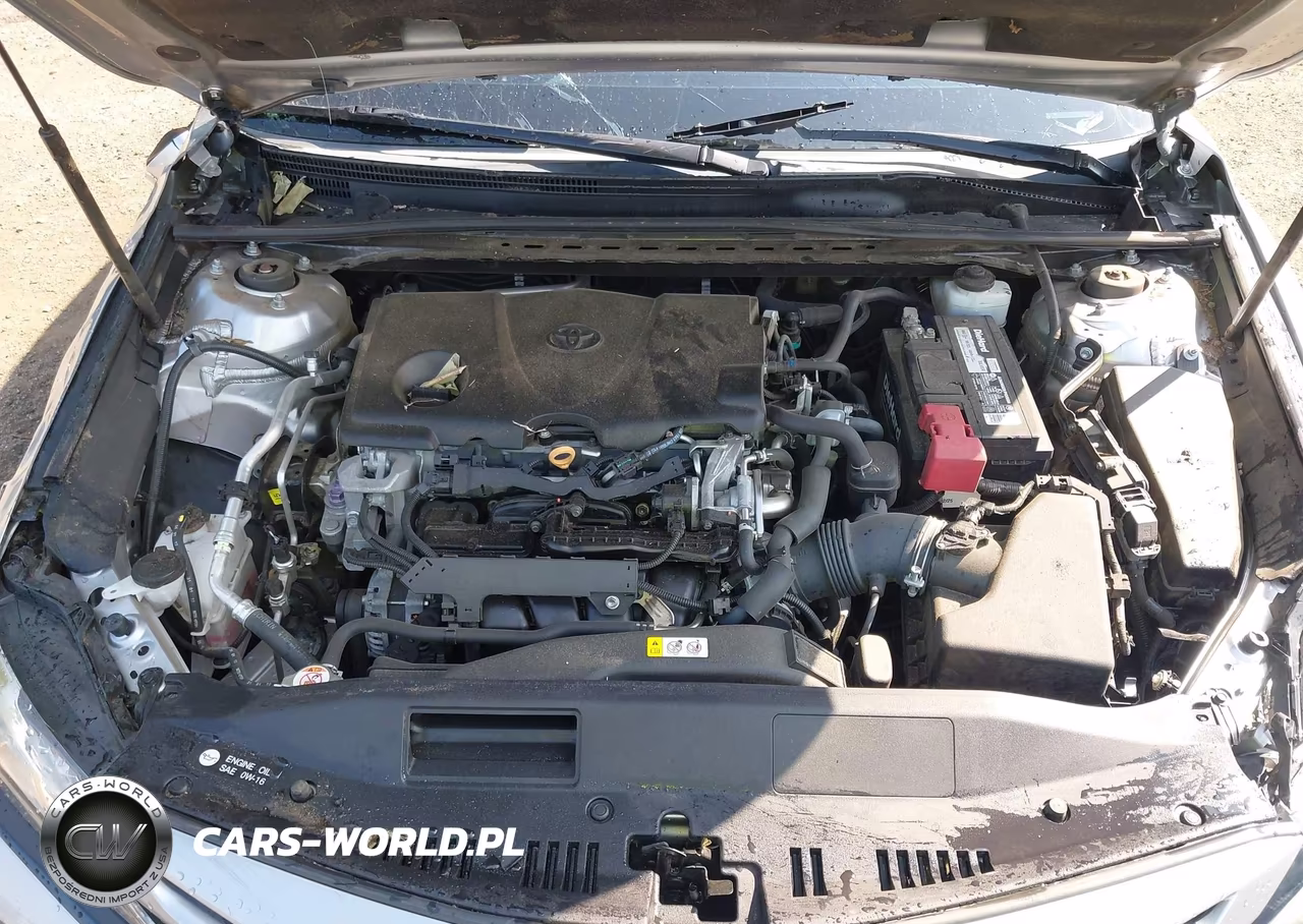 2019 Toyota Camry Xse VIN:4T1B61HK7KU295897 - 10