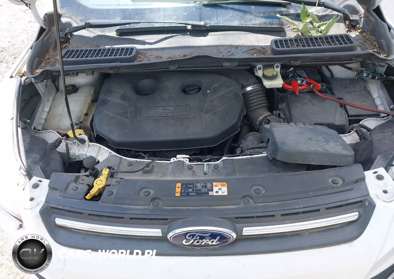 2014 Ford Escape Se VIN:1FMCU9G98EUC05796 - 10