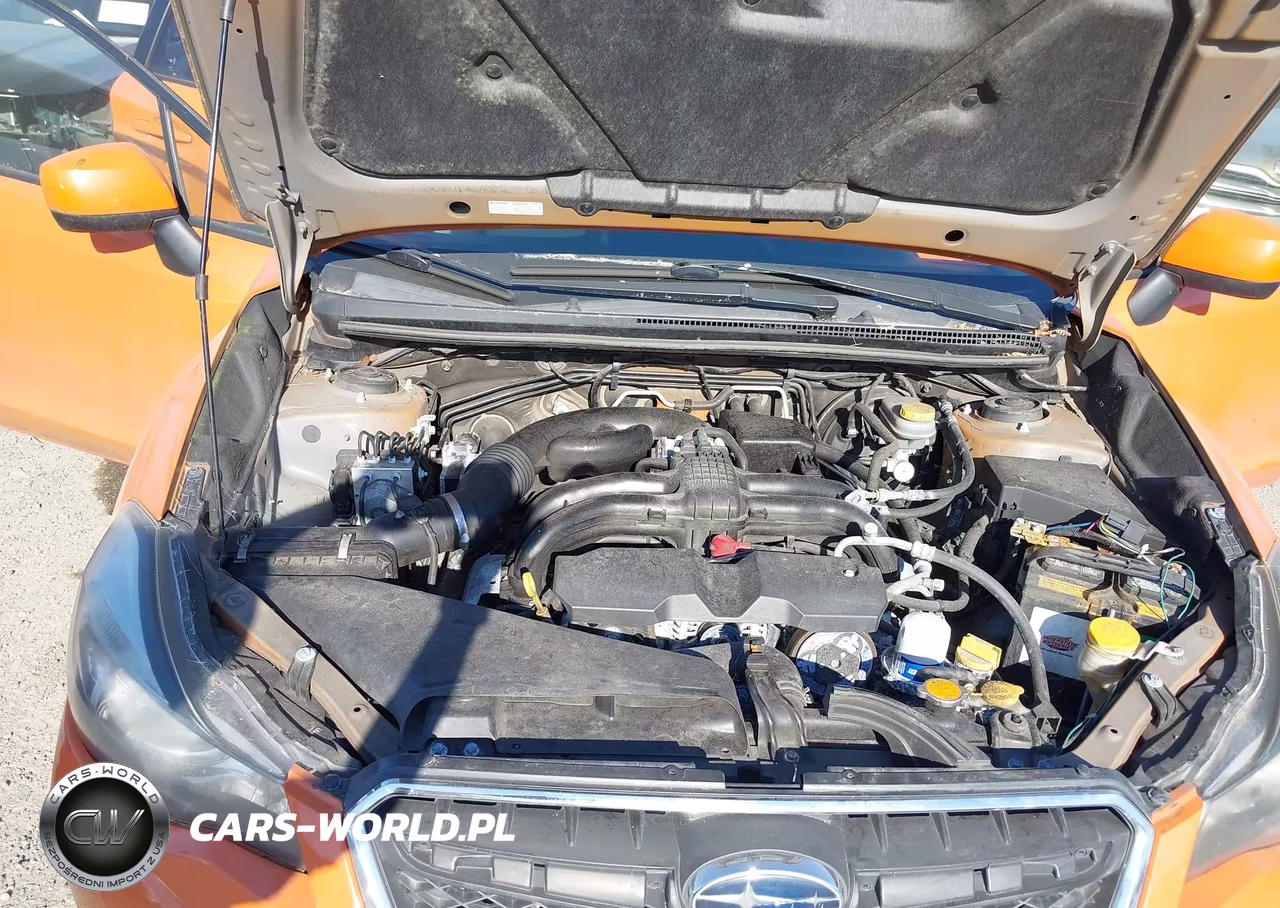 2013 Subaru Xv Crosstrek 2.0I Premium VIN:JF2GPAWC6D2850387 - 10