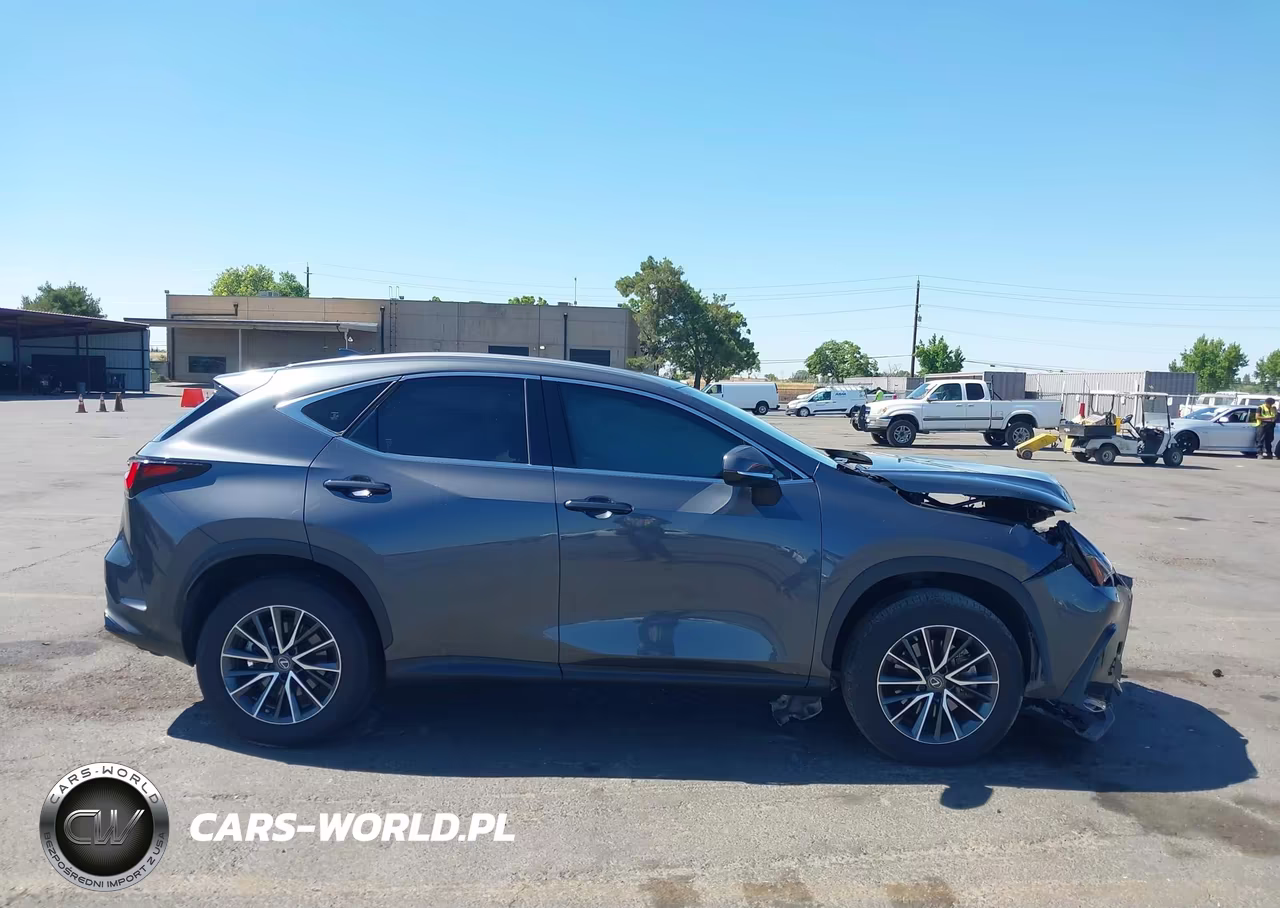2022 Lexus Nx 350H VIN:JTJAKCEZ7N5006022 - 13