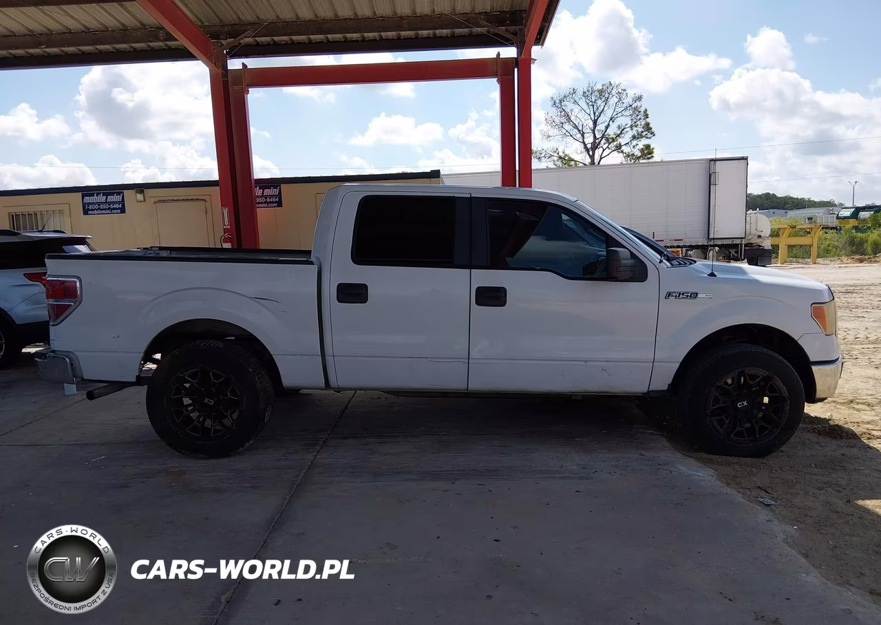 2010 Ford F-150 Fx2 Sport-Xl-Xlt VIN:1FTEW1C81AFC55248 - 13