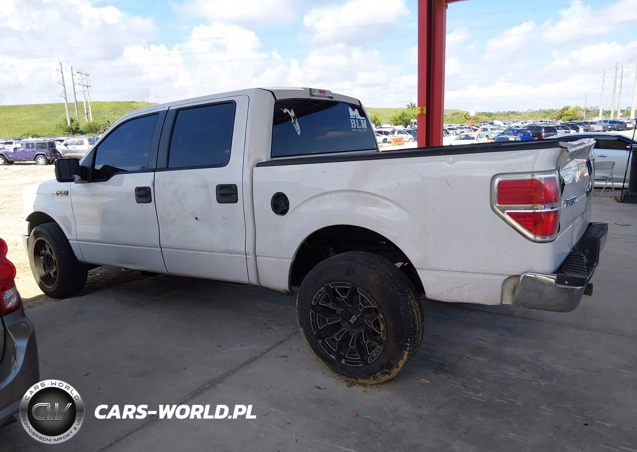 2010 Ford F-150 Fx2 Sport-Xl-Xlt VIN:1FTEW1C81AFC55248 - 14