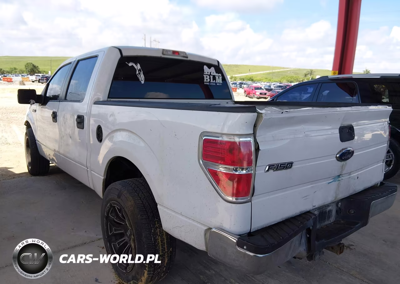2010 Ford F-150 Fx2 Sport-Xl-Xlt VIN:1FTEW1C81AFC55248 - 18