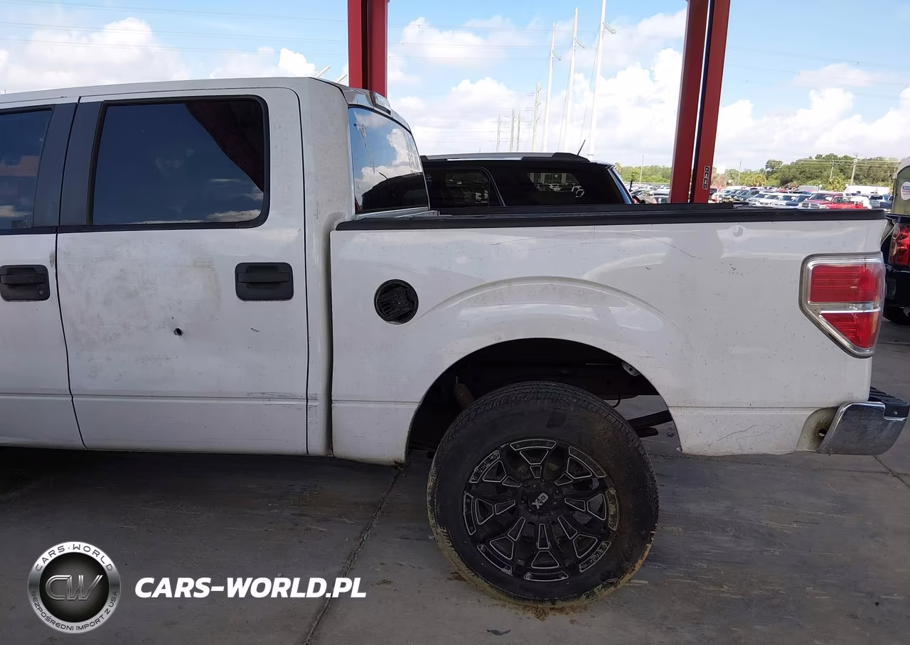 2010 Ford F-150 Fx2 Sport-Xl-Xlt VIN:1FTEW1C81AFC55248 - 19