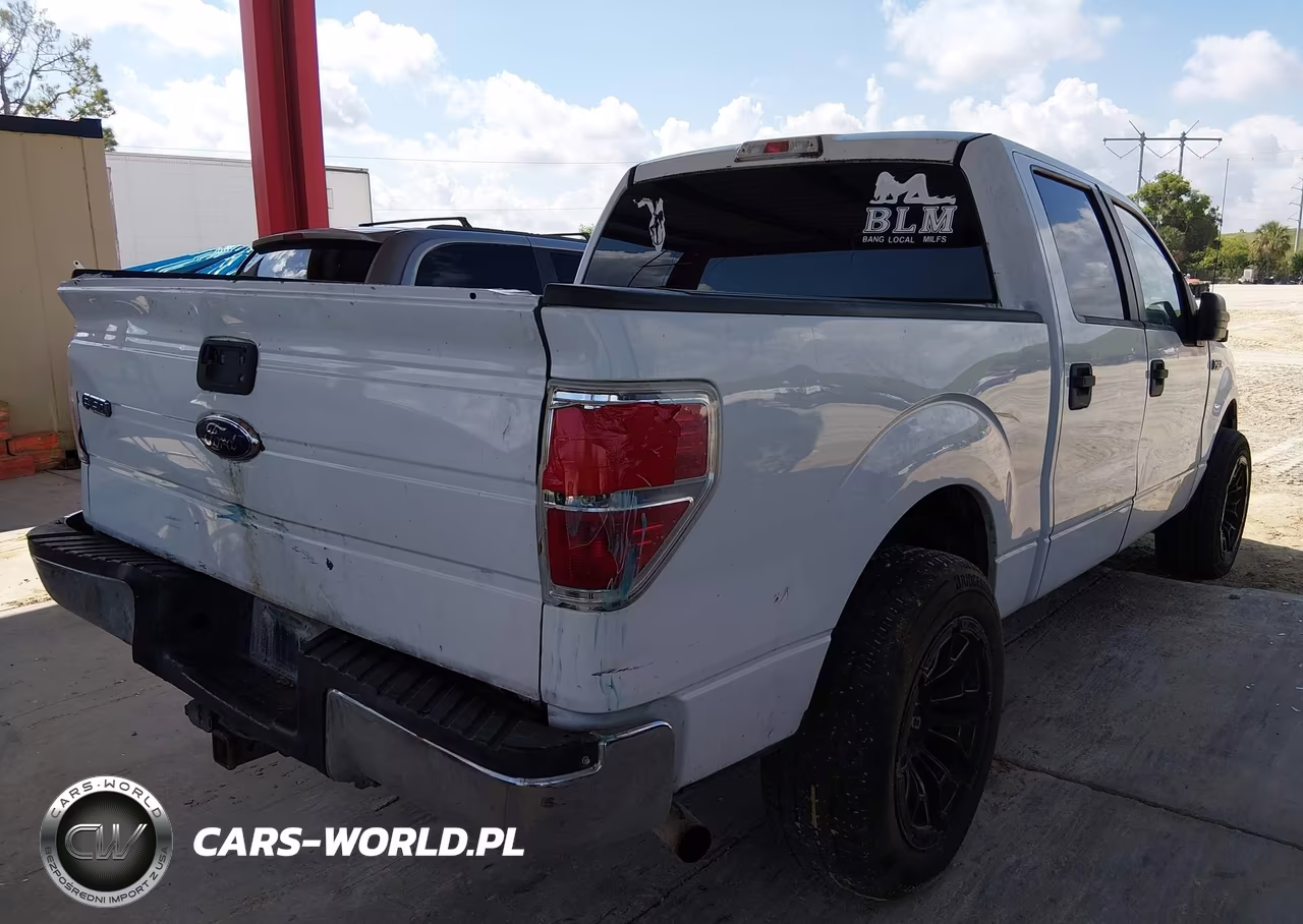 2010 Ford F-150 Fx2 Sport-Xl-Xlt VIN:1FTEW1C81AFC55248 - 20