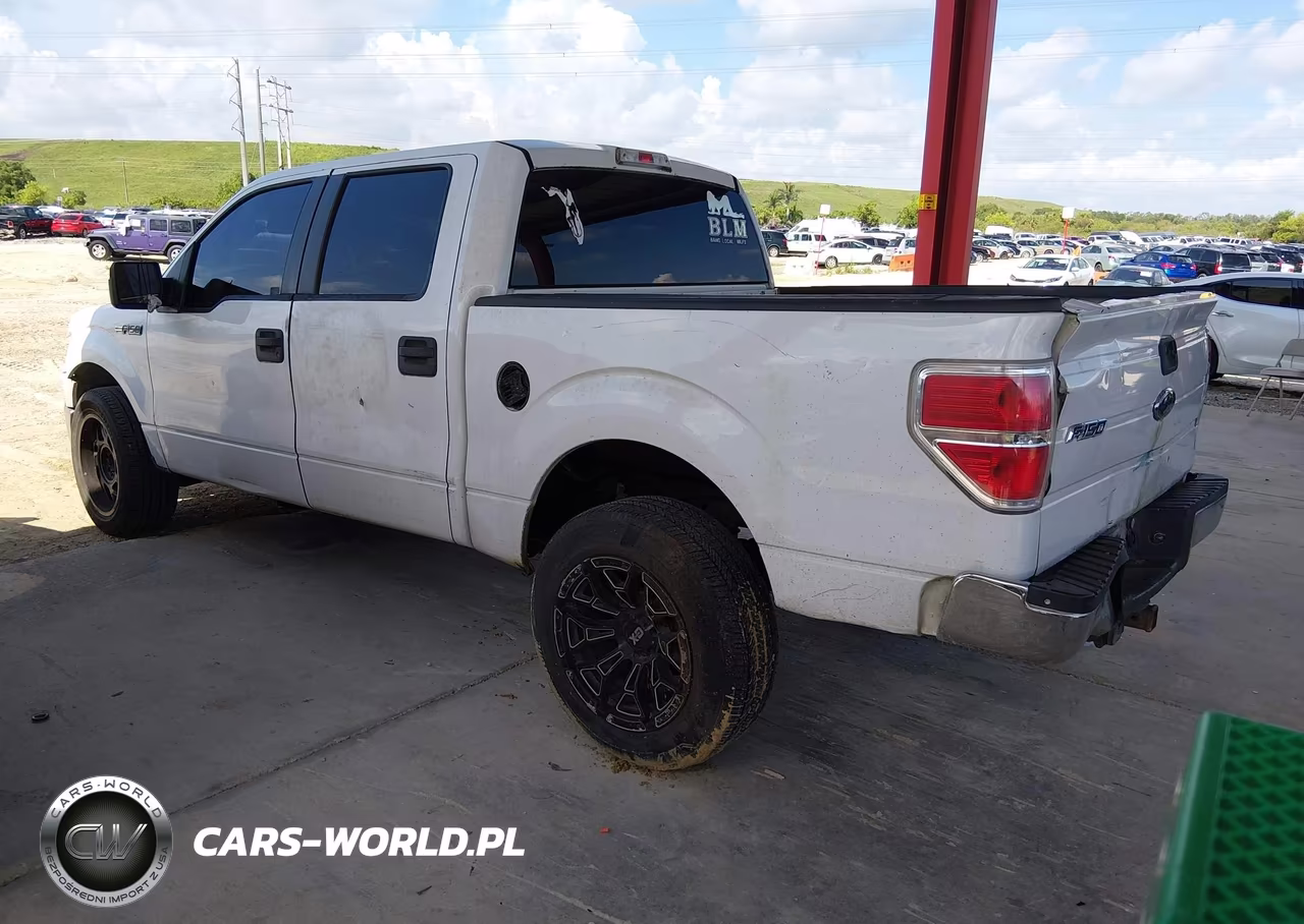 2010 Ford F-150 Fx2 Sport-Xl-Xlt VIN:1FTEW1C81AFC55248 - 3