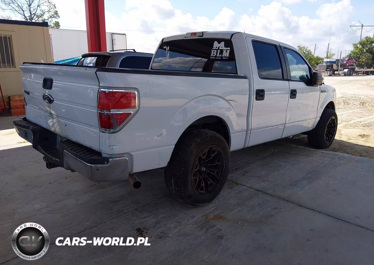 2010 Ford F-150 Fx2 Sport-Xl-Xlt VIN:1FTEW1C81AFC55248 - 4