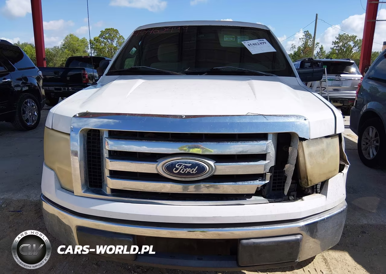 2010 Ford F-150 Fx2 Sport-Xl-Xlt VIN:1FTEW1C81AFC55248 - 6