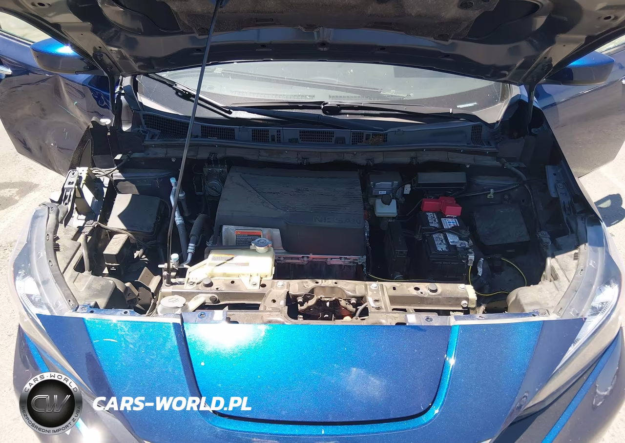 2019 Nissan Leaf Sv VIN:1N4AZ1CP3KC300213 - 10