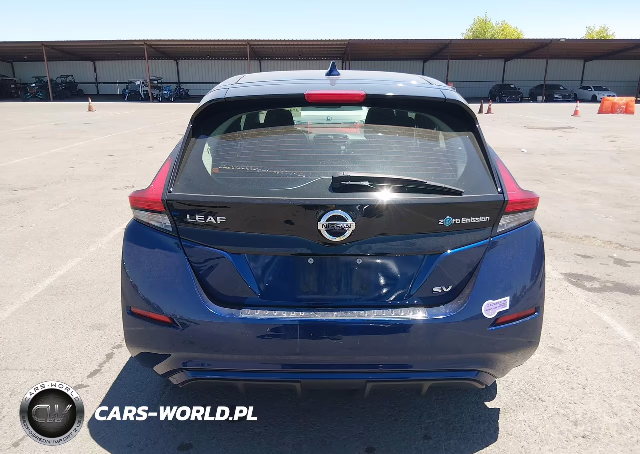 2019 Nissan Leaf Sv VIN:1N4AZ1CP3KC300213 - 17