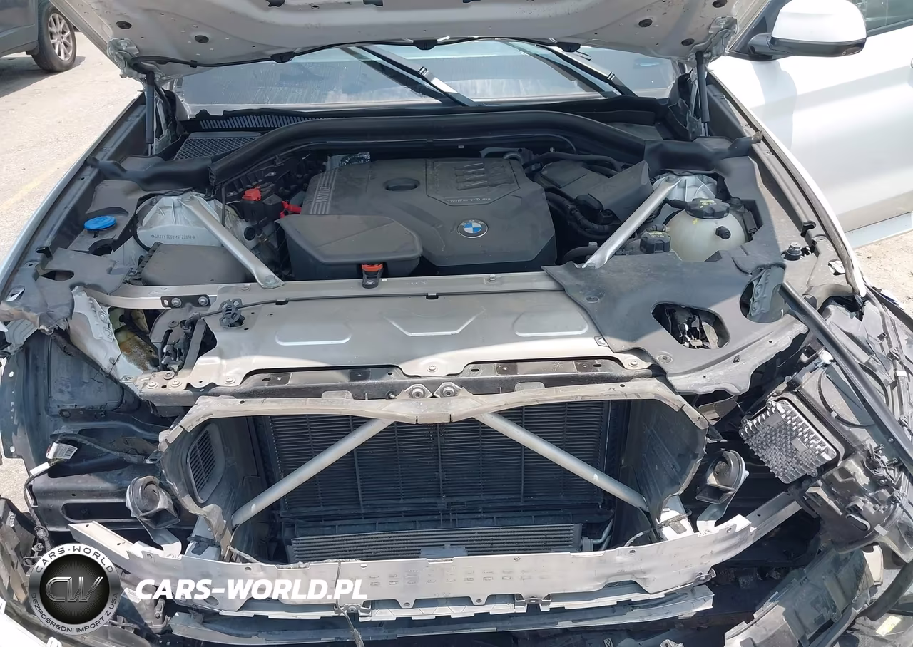 2021 BMW X3 Sdrive30I VIN:5UXTY3C09M9F22891 - 10