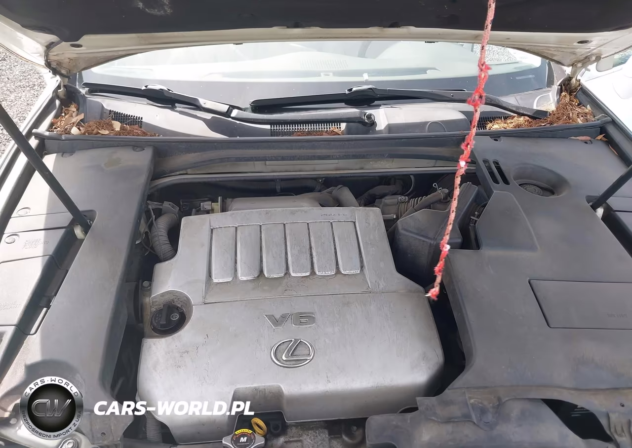 2007 Lexus Es 350 VIN:JTHBJ46G172001771 - 10