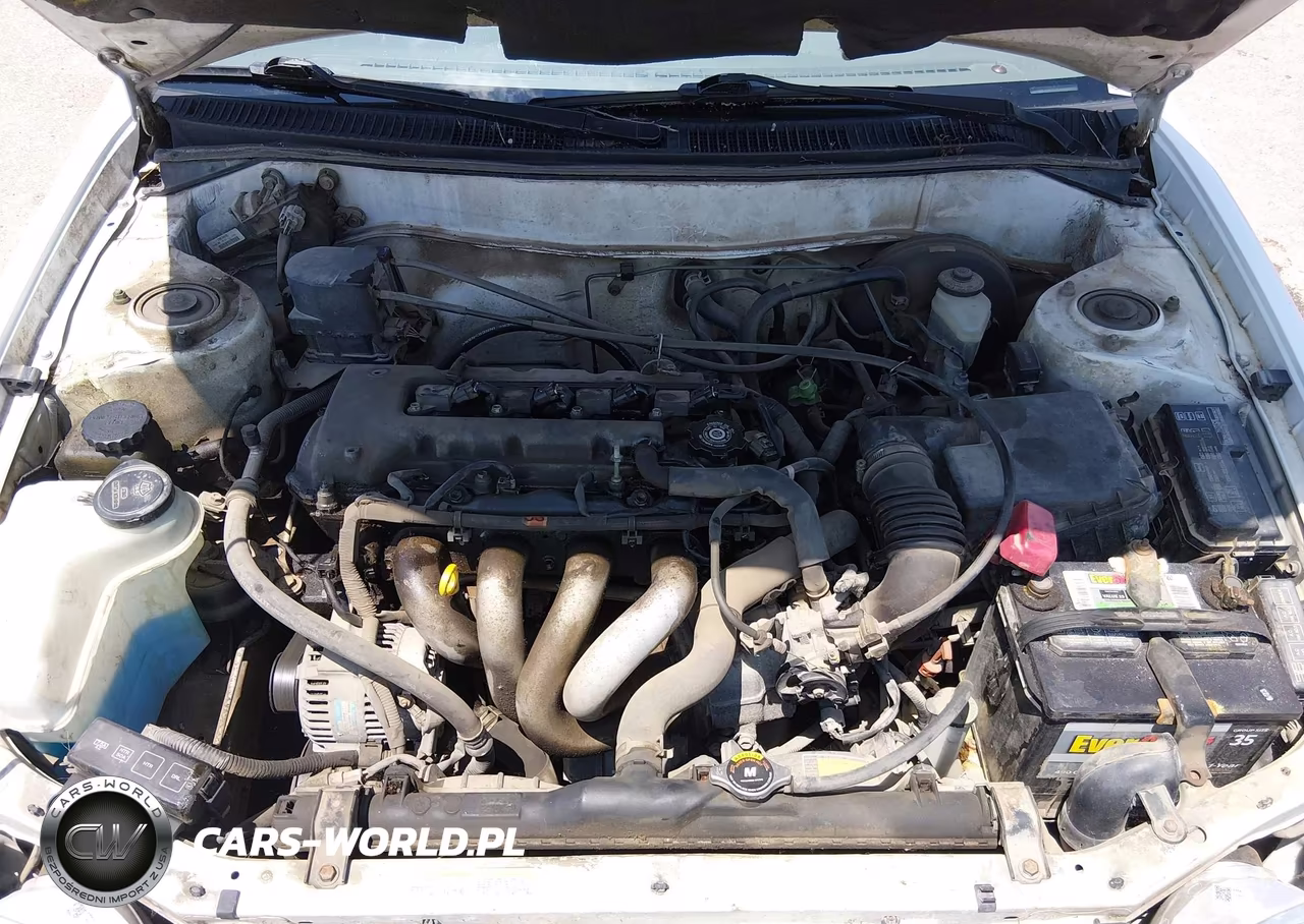 2000 Toyota Corolla Ce VIN:1NXBR12E5YZ409365 - 10