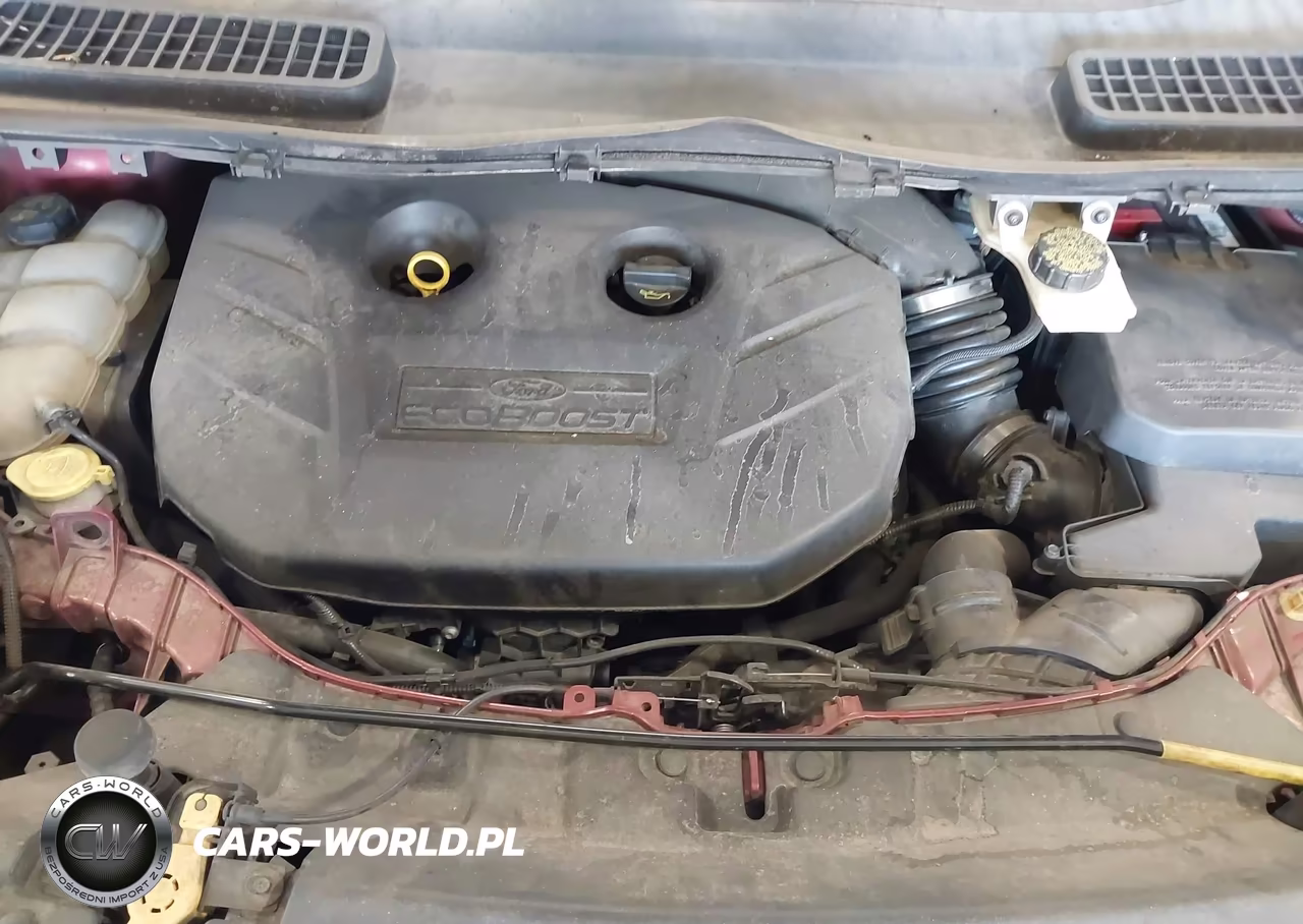 2014 Ford Escape Se VIN:1FMCU0G94EUB81203 - 10