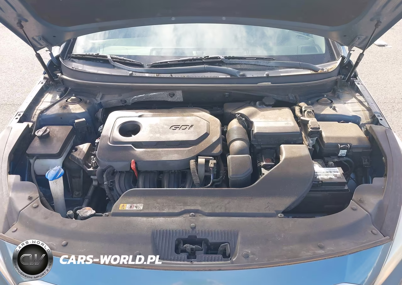 2016 Hyundai Sonata Se VIN:5NPE24AF0GH391884 - 10