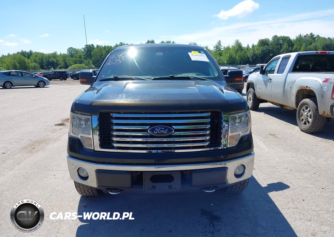 2011 Ford F-150 Fx4-Lariat-Stx-Xl-Xlt VIN:1FTFX1EF9BFA01561 - 12