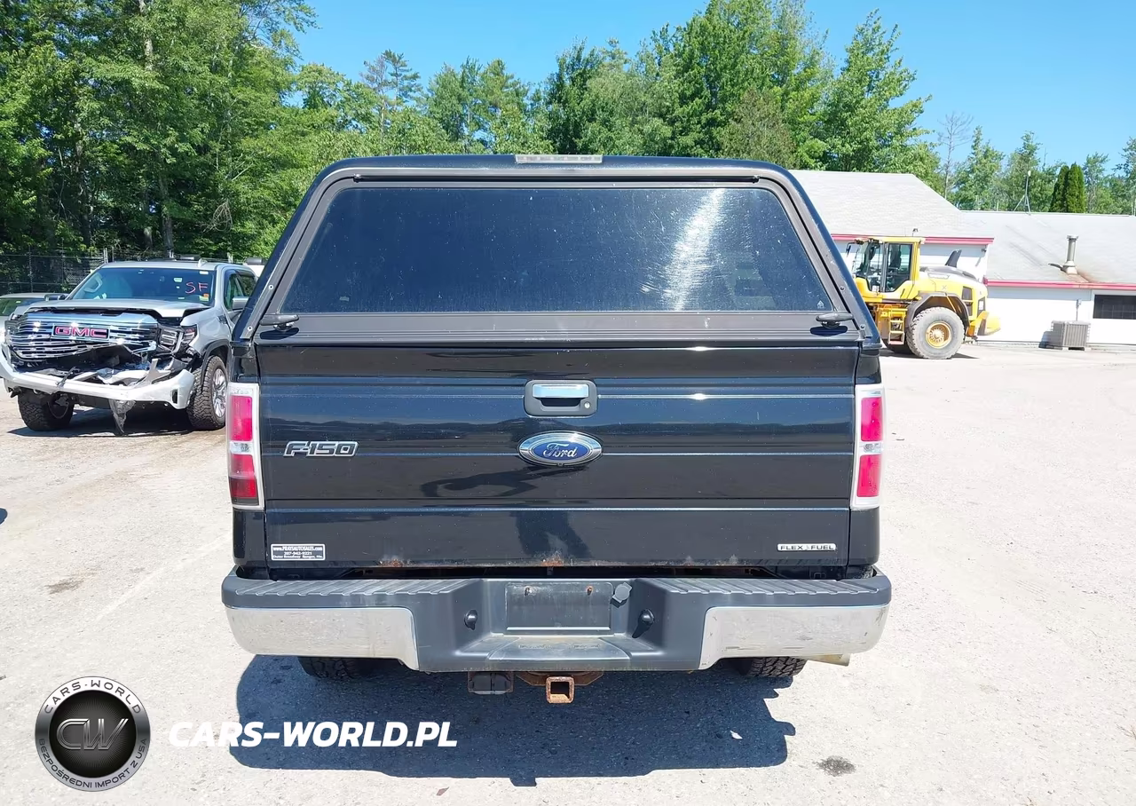 2011 Ford F-150 Fx4-Lariat-Stx-Xl-Xlt VIN:1FTFX1EF9BFA01561 - 16