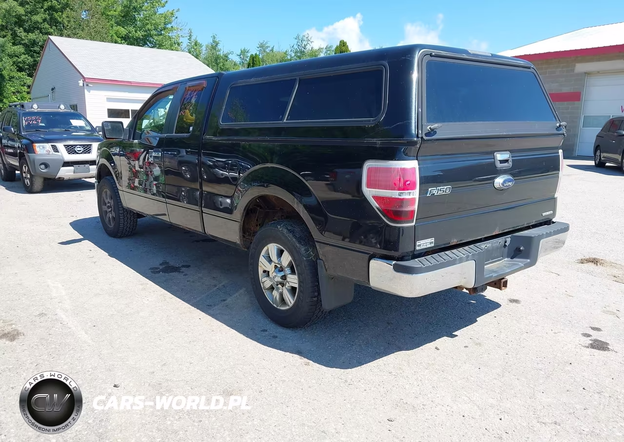 2011 Ford F-150 Fx4-Lariat-Stx-Xl-Xlt VIN:1FTFX1EF9BFA01561 - 3