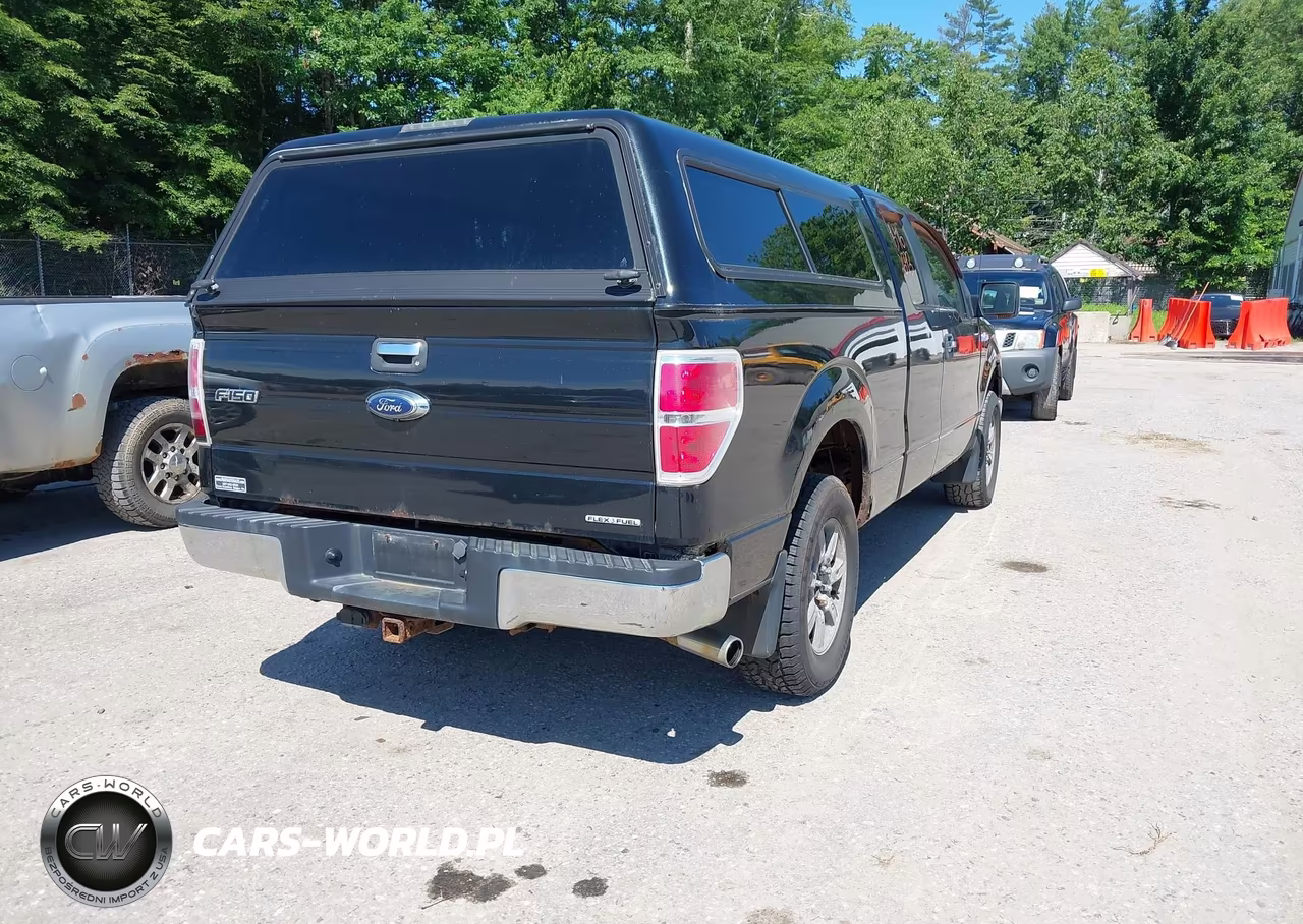 2011 Ford F-150 Fx4-Lariat-Stx-Xl-Xlt VIN:1FTFX1EF9BFA01561 - 4