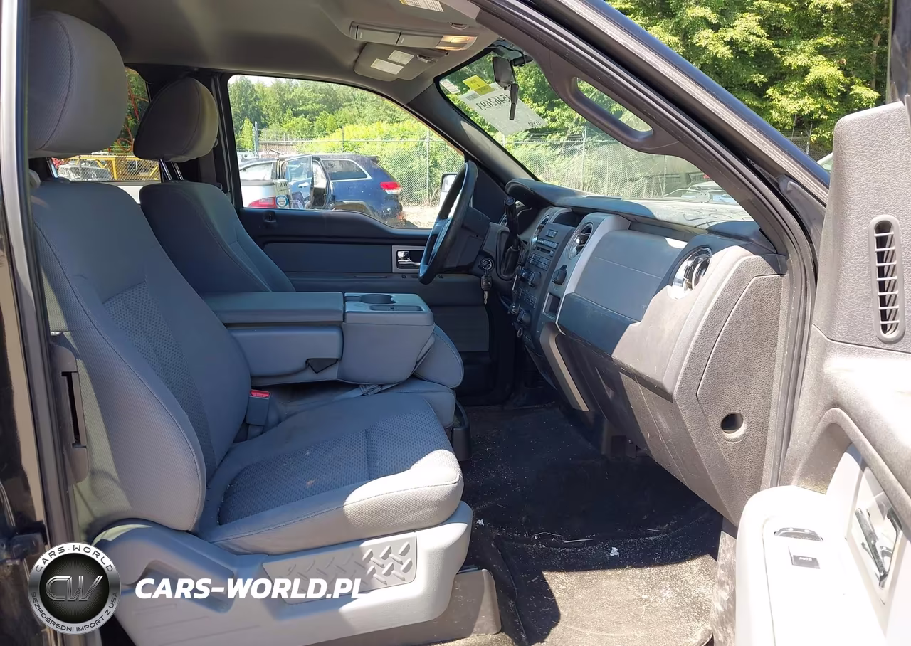 2011 Ford F-150 Fx4-Lariat-Stx-Xl-Xlt VIN:1FTFX1EF9BFA01561 - 5