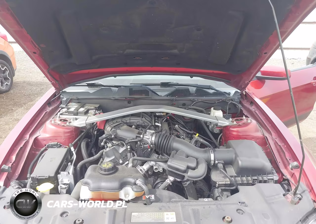 2014 Ford Mustang V6-V6 Premium VIN:1ZVBP8EM1E5238171 - 10