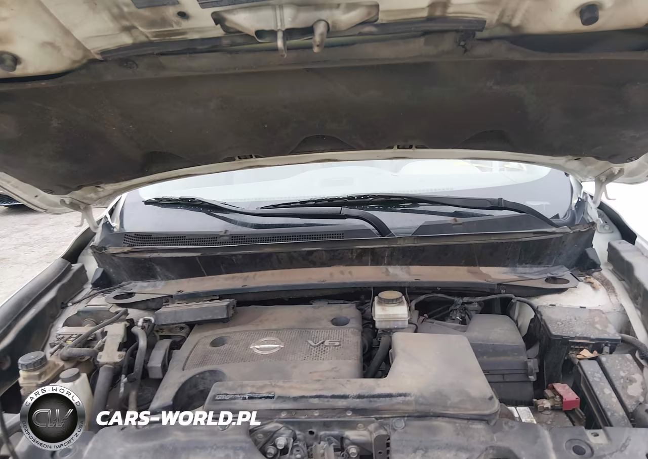 2014 Nissan Pathfinder Platinum VIN:5N1AR2MN6EC686817 - 10