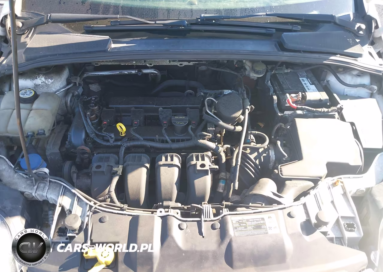 2014 Ford Focus Se VIN:1FADP3F24EL228926 - 10