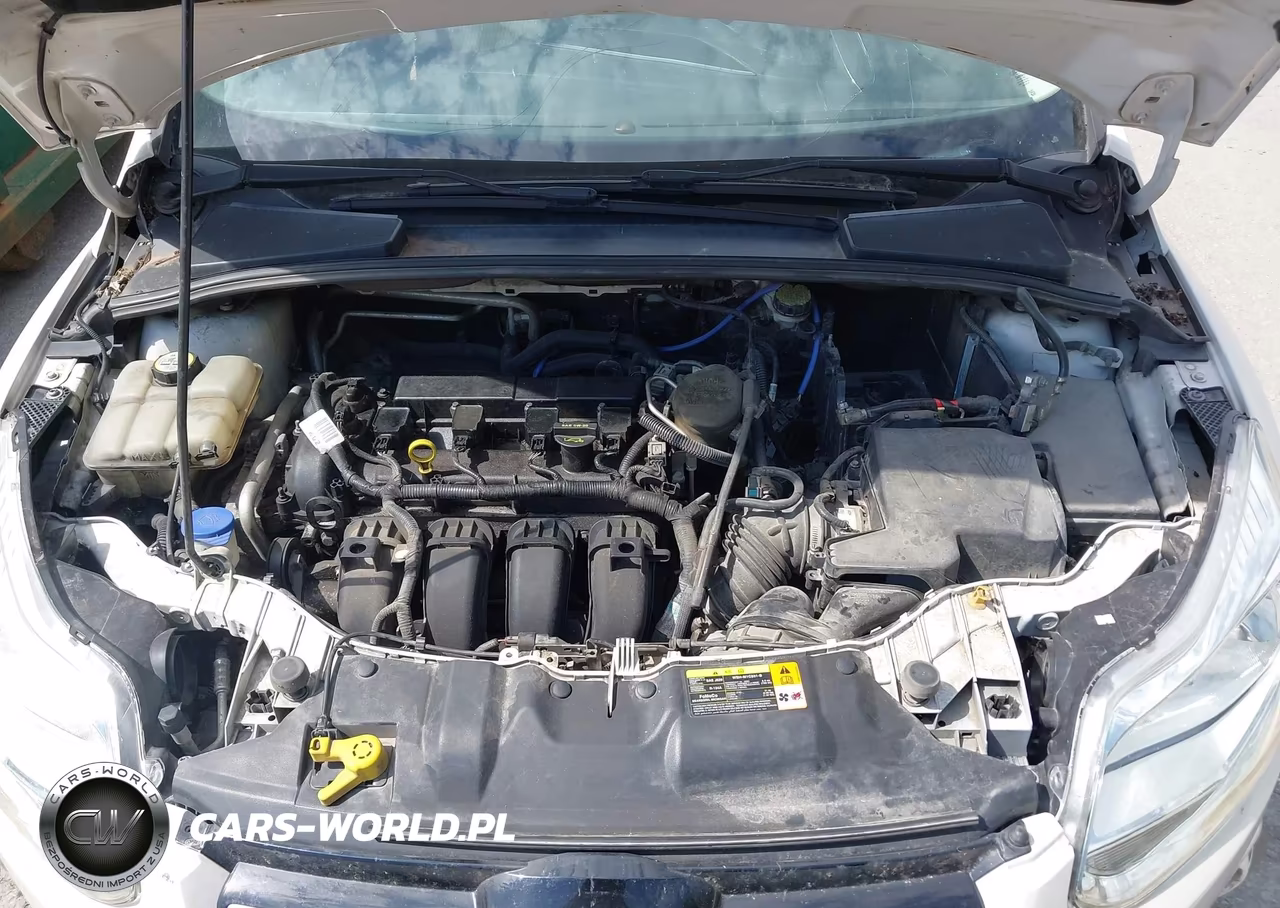 2012 Ford Focus Sel VIN:1FAHP3H23CL180234 - 10