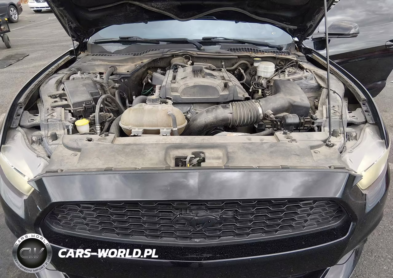 2017 Ford Mustang Ecoboost VIN:1FA6P8TH2H5237549 - 10