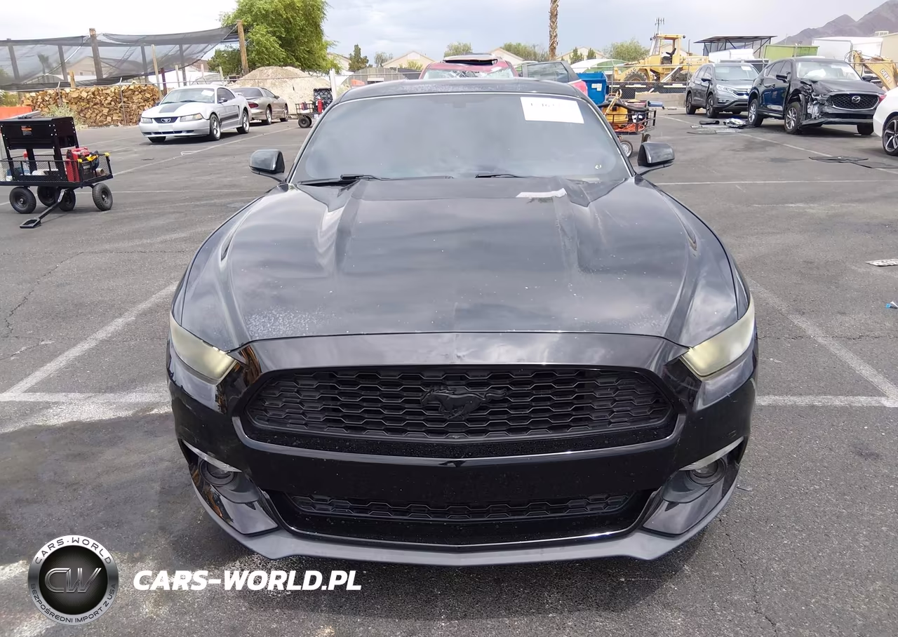 2017 Ford Mustang Ecoboost VIN:1FA6P8TH2H5237549 - 13
