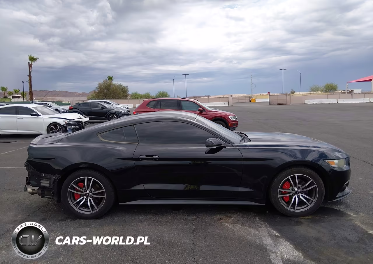 2017 Ford Mustang Ecoboost VIN:1FA6P8TH2H5237549 - 14