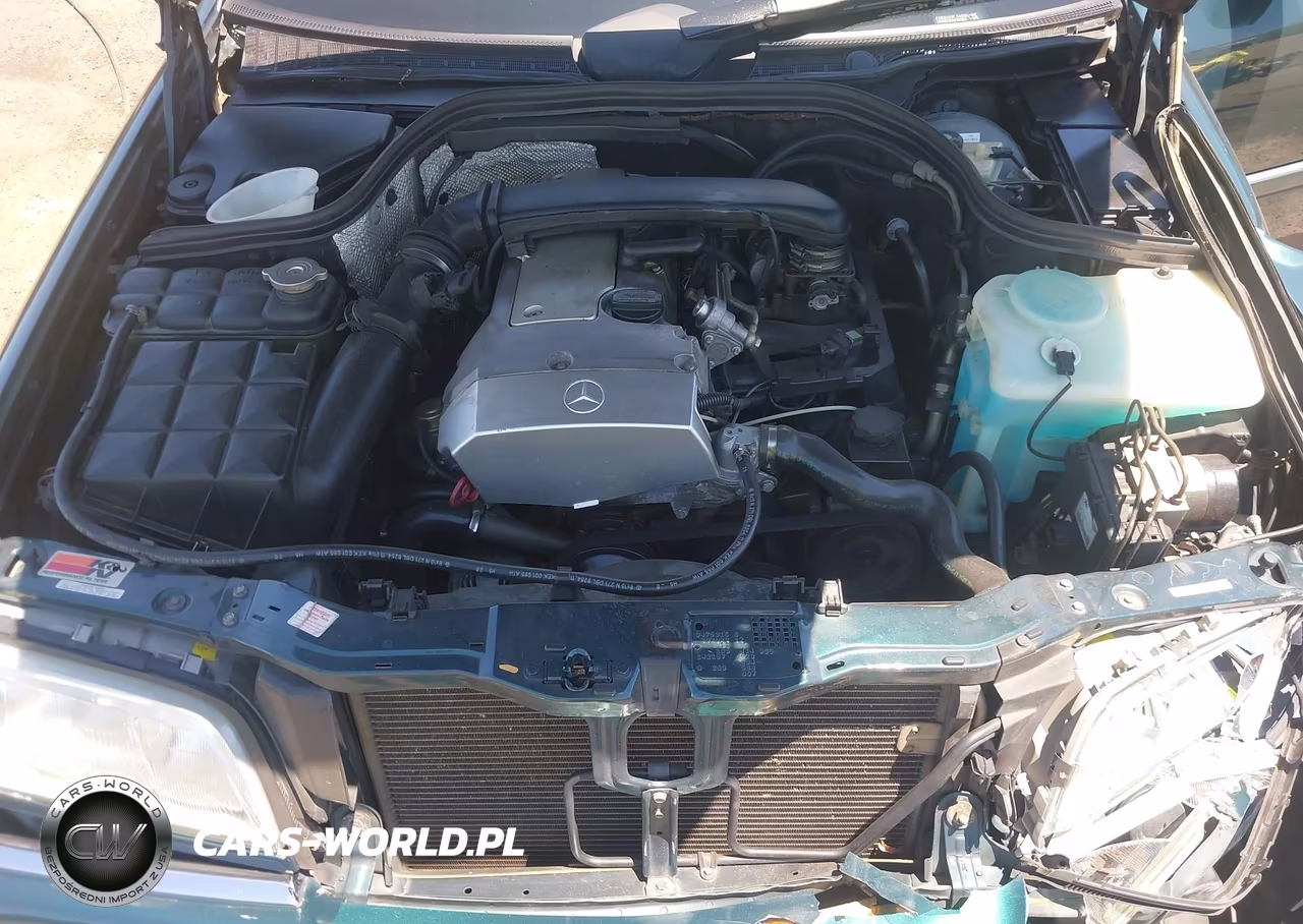 1997 Mercedes-Benz C 230 VIN:WDBHA23E8VF520663 - 10